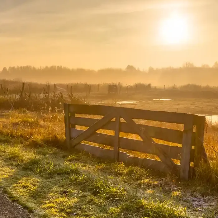 Natuur van Friesland